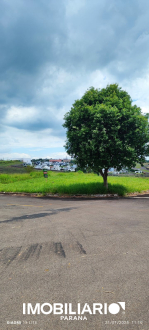 Terreno para  Venda em Umuarama pela Garcia Imóveis