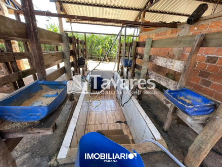 Propriedade Rural para  Venda em Maria Helena pela Tavares