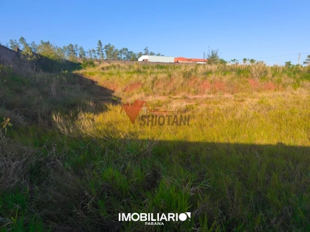 Terreno para  Venda em Umuarama pela Shiotani Imóveis