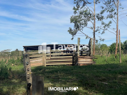 Propriedade Rural para  Venda em Cafezal do Sul pela Tavares