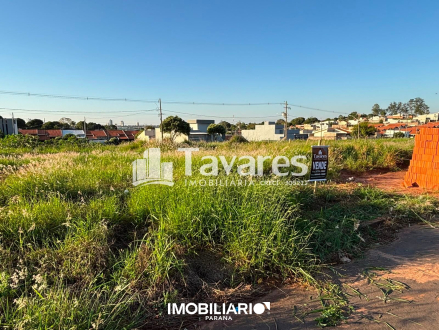 Terreno para  Venda em Umuarama pela Tavares