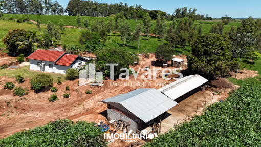 Propriedade Rural para  Venda em Maria Helena pela Tavares
