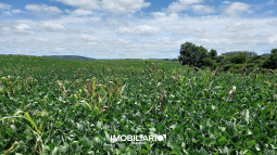 Fazenda para  Venda em Campo Mourão pela Nadiel Imóveis