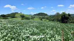 Fazenda para  Venda em Campo Mourão pela Nadiel Imóveis