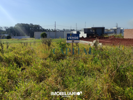 Terreno para  Venda em Umuarama pela FBF Capital