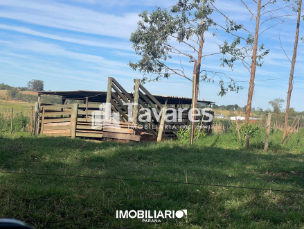 Propriedade Rural para  Venda em Cafezal do Sul pela Tavares