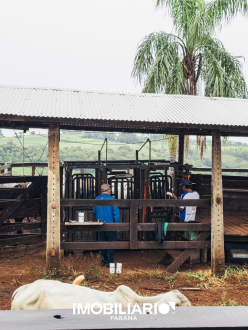 Chácara para  Venda em Boa Vista da Aparecida pela Ramiro e Sonsin negócios imobiliários