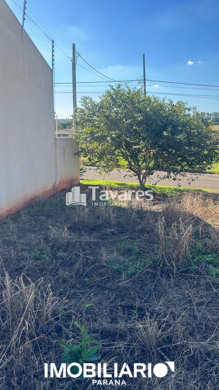 Terreno para  Venda em Umuarama pela Tavares