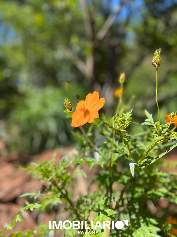 Residência para  Venda em Umuarama pela Elisia Neves