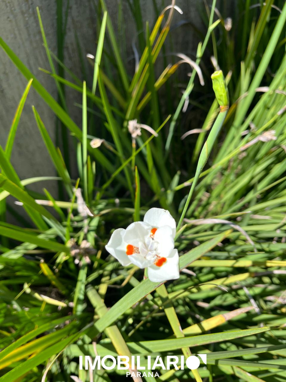 Residência para  Venda em Umuarama pela Elisia Neves