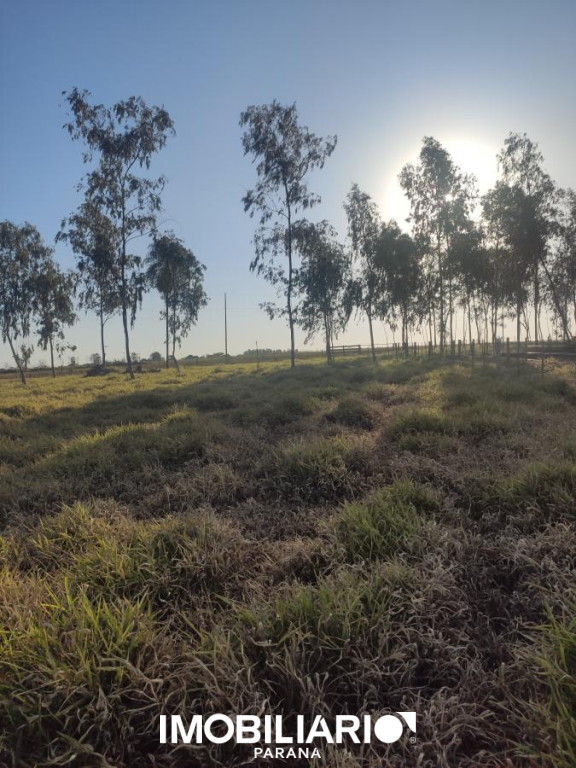 Propriedade Rural para  Venda em Umuarama pela Imobiliária Favorytta