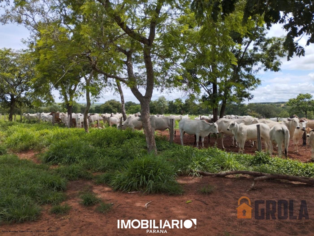 Propriedade Rural para  Venda em Pedro Gomes pela Grola Negócios Imobiliários