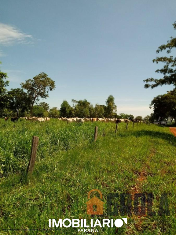 Propriedade Rural para  Venda em Pedro Gomes pela Grola Negócios Imobiliários