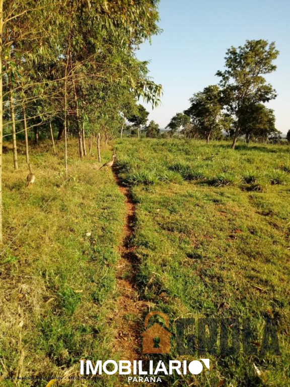 Propriedade Rural para  Venda em Pedro Gomes pela Grola Negócios Imobiliários