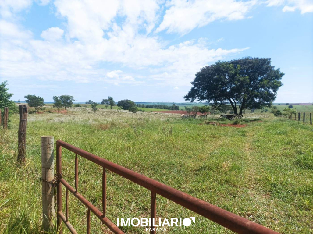 Propriedade Rural para  Venda em Icaraíma pela Imobiliária Amizade