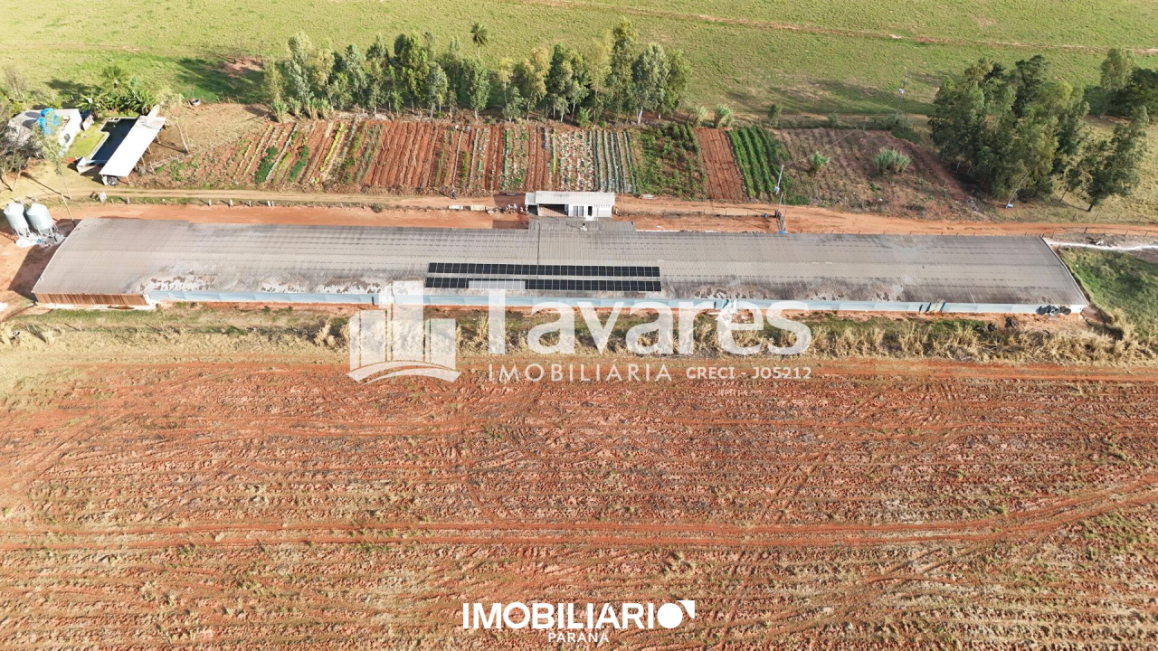 Chácara para  Venda em Umuarama pela Tavares