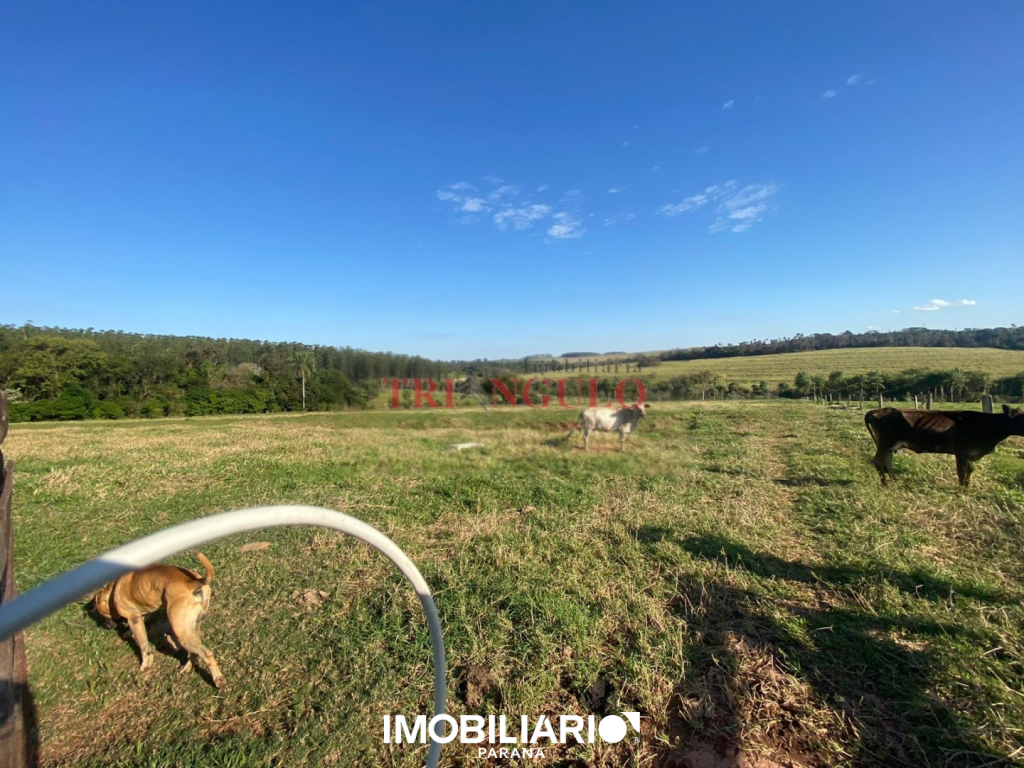 Terreno para  Venda em Umuarama pela Imobiliária Triangulo