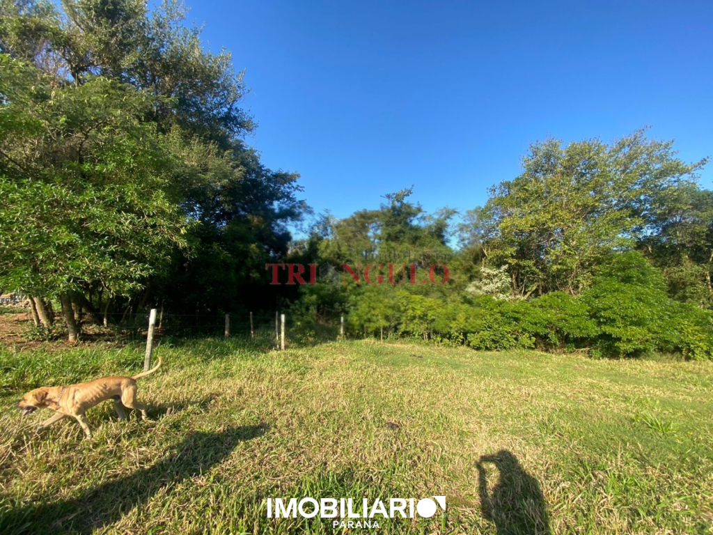 Terreno para  Venda em Umuarama pela Imobiliária Triangulo