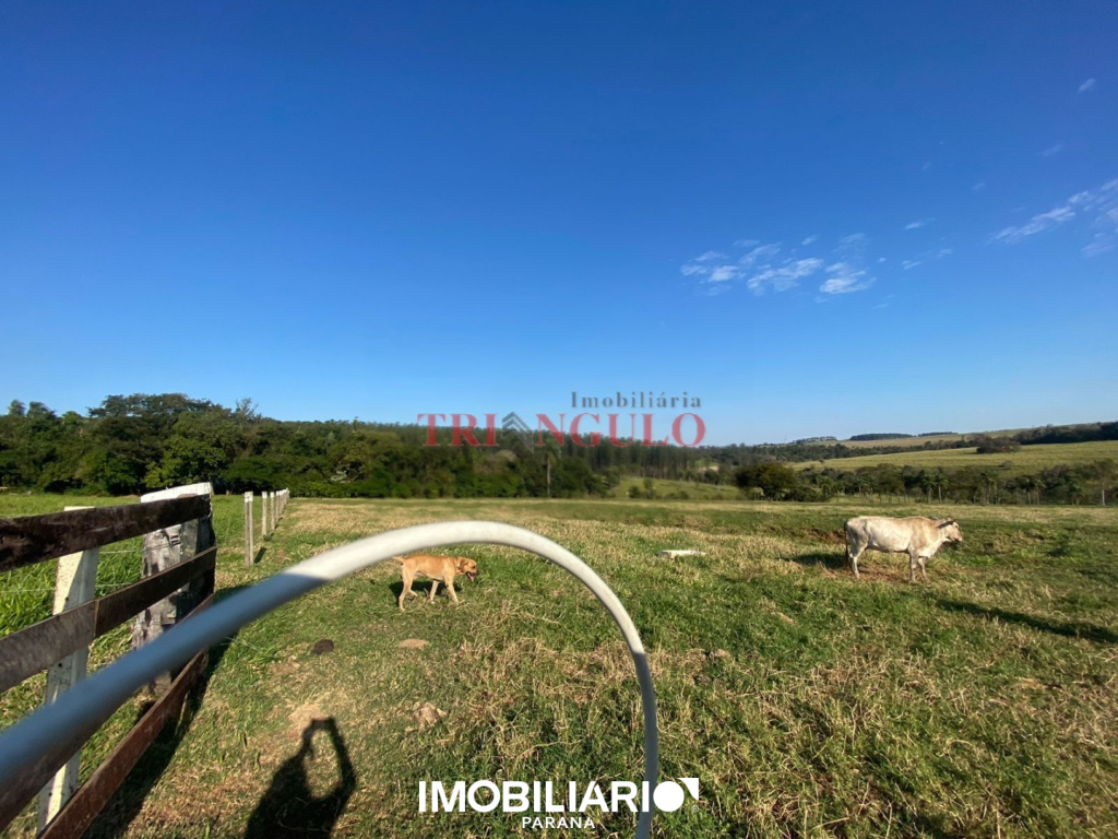 Terreno para  Venda em Umuarama pela Imobiliária Triangulo