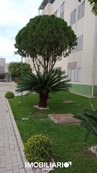 Apartamento para  Venda em Umuarama pela Babolim