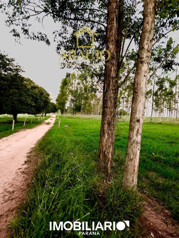 Chácara para  Venda em Umuarama pela Araujo