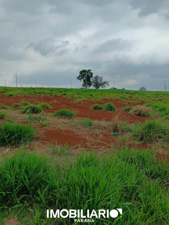 Terreno para  Venda em Campo Mourão pela Casa fácil