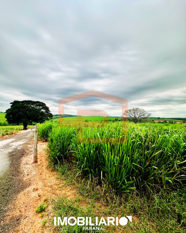 Sítio para  Venda em Ivaté pela Peteno Imóveis