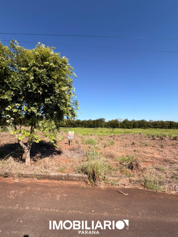 Terreno para  Venda em Umuarama pela Caetano & Otávio