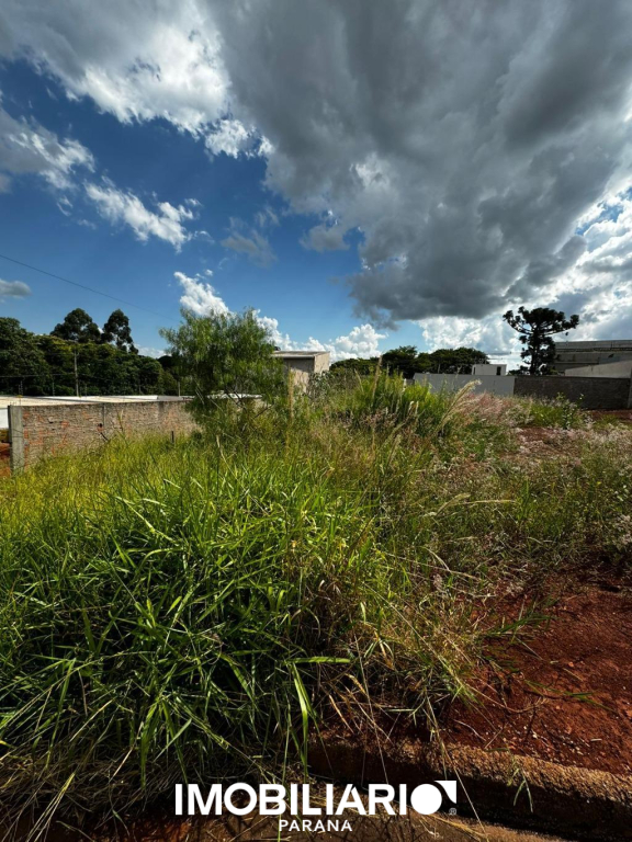 Terreno para  Venda em Campo Mourão pela Casa fácil