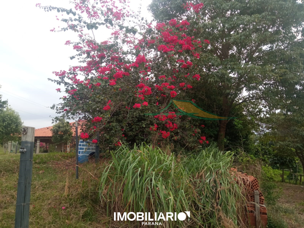 PAULO MENDES CORRETOR DE IMÓVEIS UMUARAMA