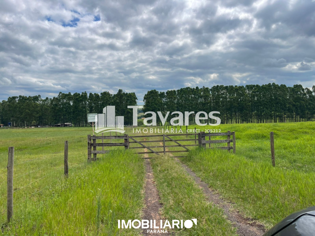 Chácara para  Alugar em Umuarama pela Tavares