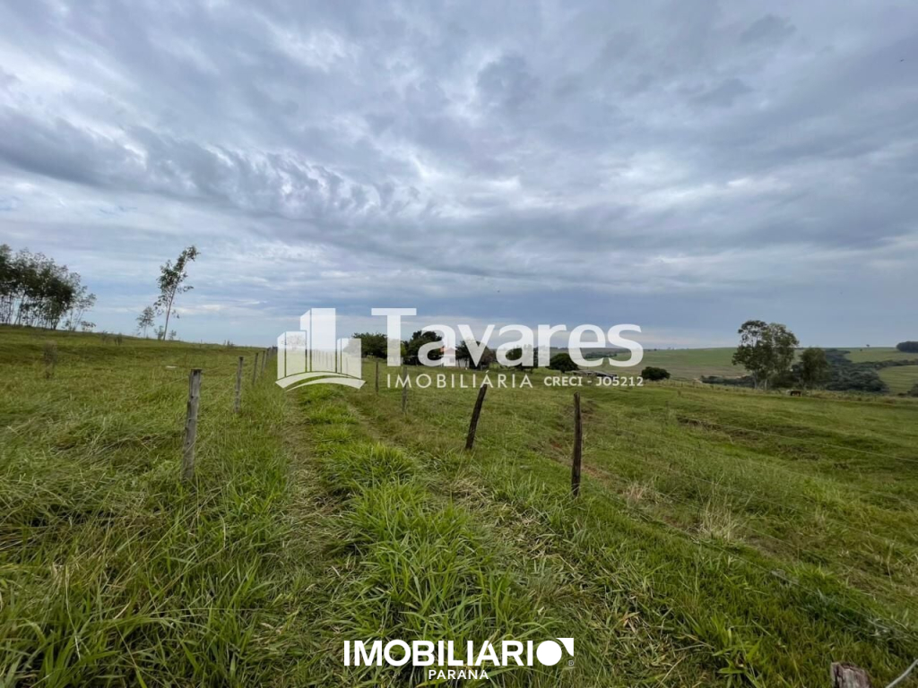 Chácara para  Venda em Umuarama pela Tavares