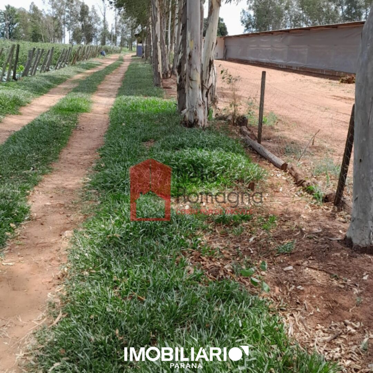 Chácara para  Venda em Umuarama pela Neto Romagna