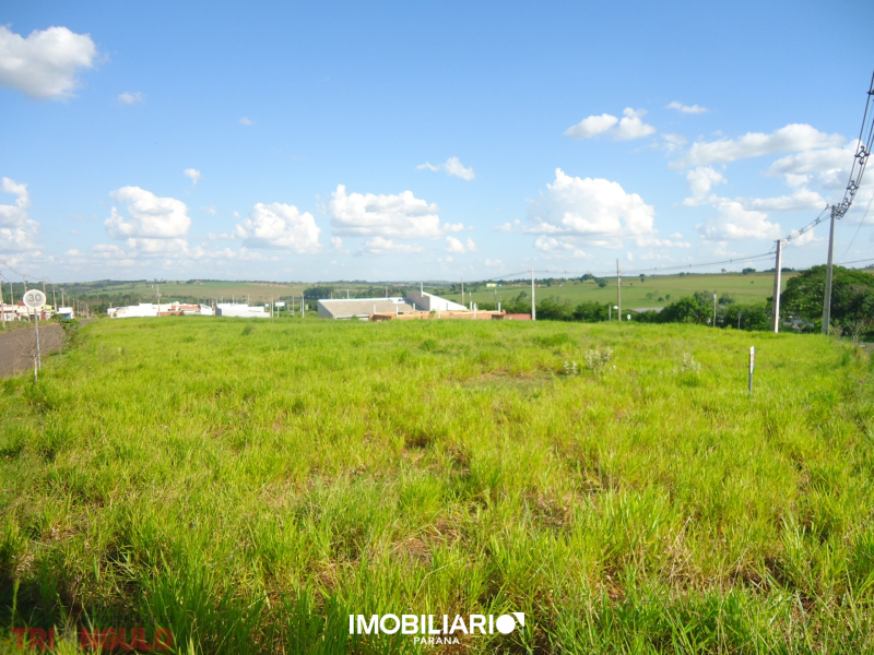 Terreno para  Alugar em Umuarama pela Imobiliária Triangulo