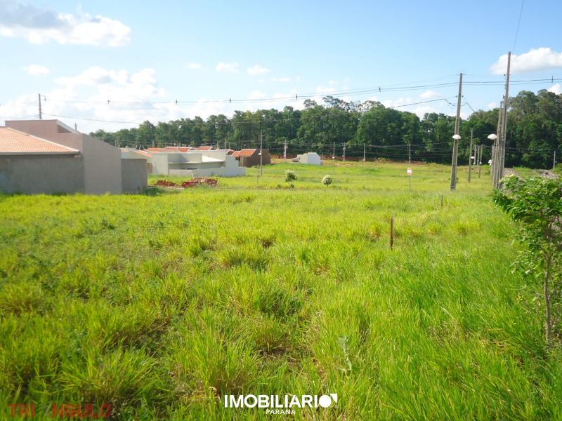 Terreno para  Alugar em Umuarama pela Imobiliária Triangulo