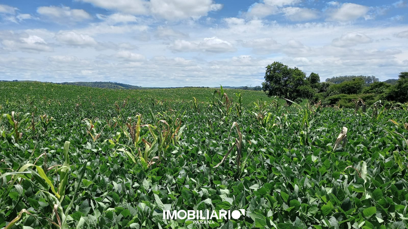 Fazenda para  Venda em Campo Mourão pela Nadiel Imóveis