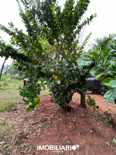 Sítio para  Venda em Cidade Gaúcha pela Sérgio Marques