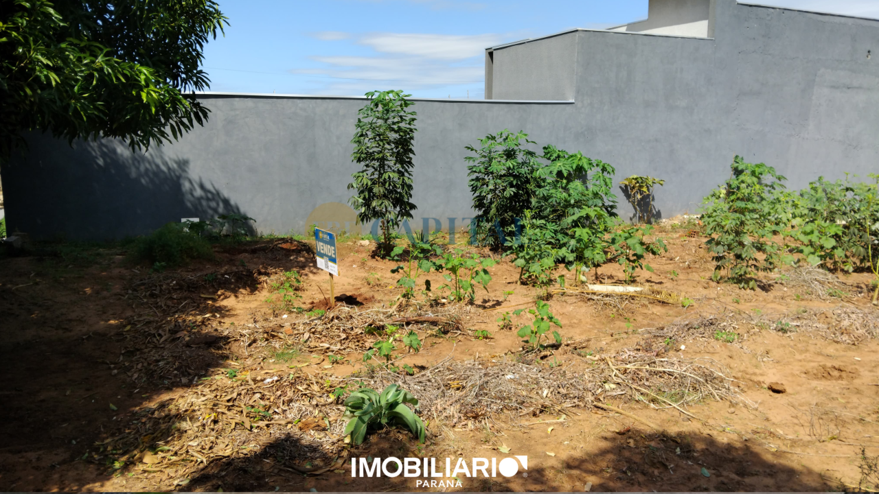 Terreno para  Venda em Umuarama pela FBF Capital