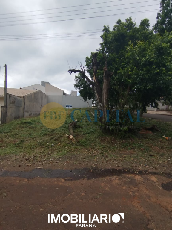 Terreno para  Venda em Umuarama pela FBF Capital