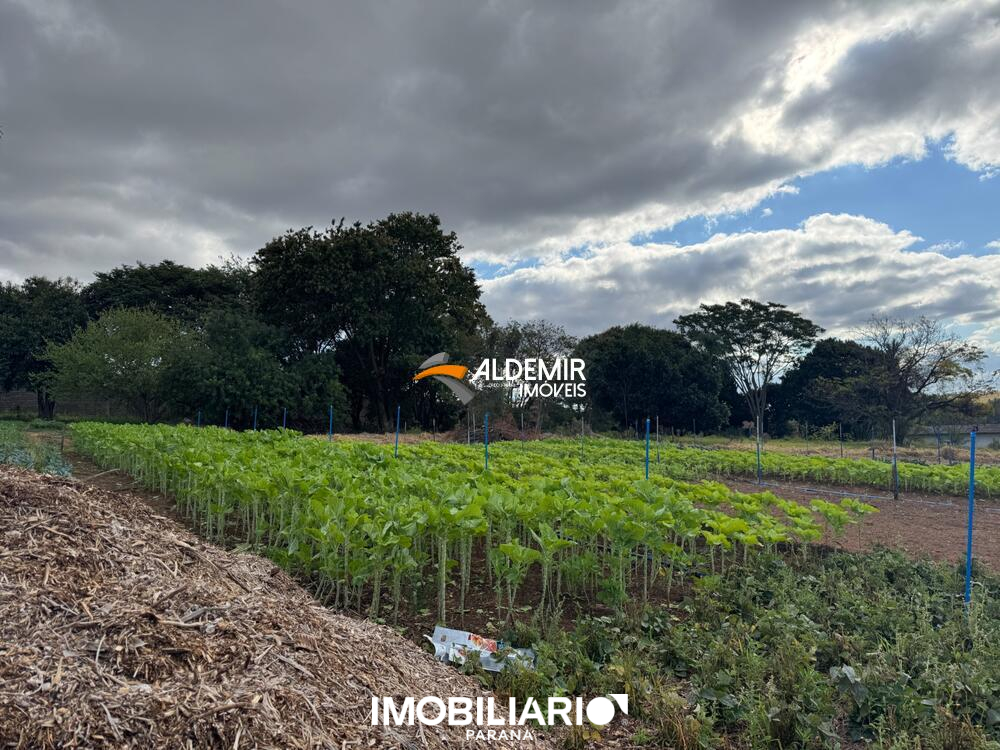 Terreno para  Venda em Umuarama pela Aldemir Imóveis