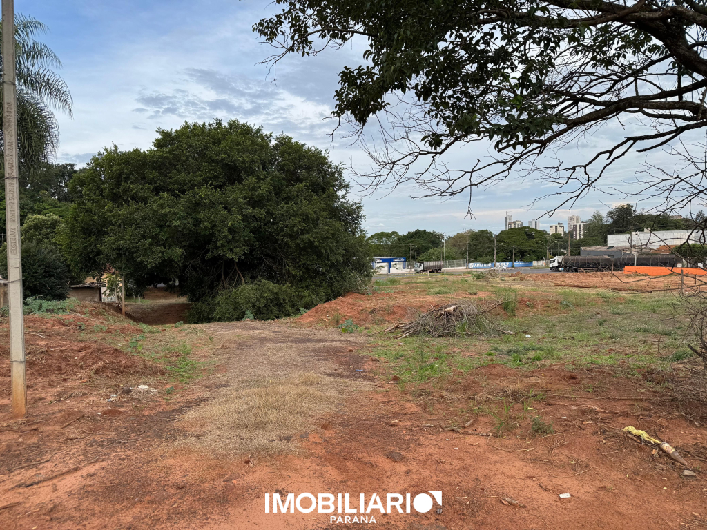 Terreno para  Alugar em Umuarama pela Araucária