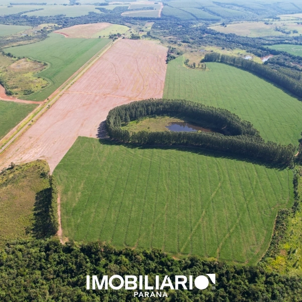 Propriedade Rural para  Venda em Mariluz pela Depieri Negócios Imobiliários