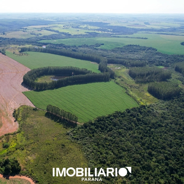 Propriedade Rural para  Venda em Mariluz pela Depieri Negócios Imobiliários