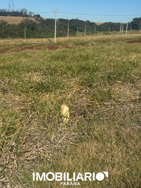Terreno para  Venda em Campo Mourão pela Monalisa Imóveis