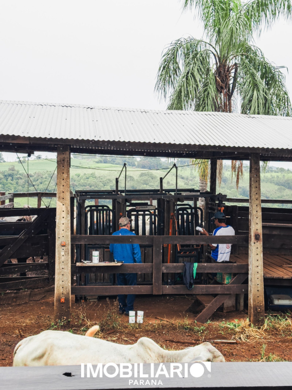 Chácara para  Venda em Boa Vista da Aparecida pela Ramiro e Sonsin negócios imobiliários