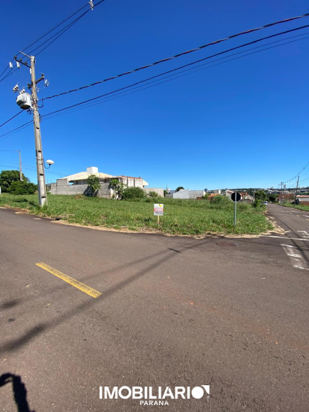 Terreno para  Venda em Umuarama pela Caetano & Otávio