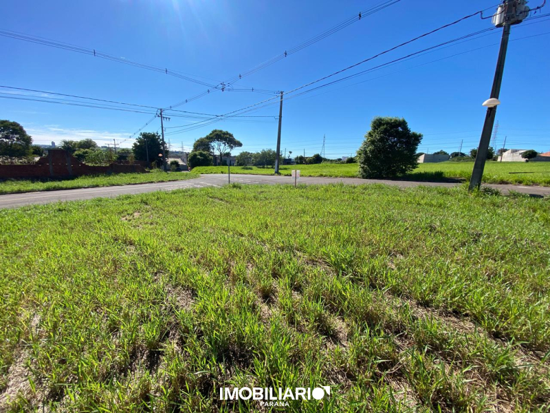 Terreno para  Venda em Umuarama pela Caetano & Otávio