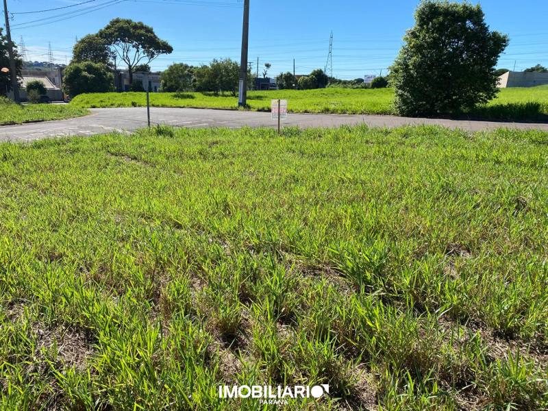 Terreno para  Venda em Umuarama pela Caetano & Otávio