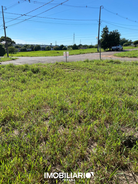 Terreno para  Venda em Umuarama pela Caetano & Otávio