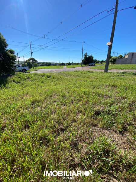 Terreno para  Venda em Umuarama pela Caetano & Otávio